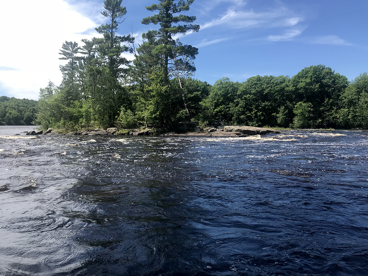 Flambeau River North Fork III Miles Paddled