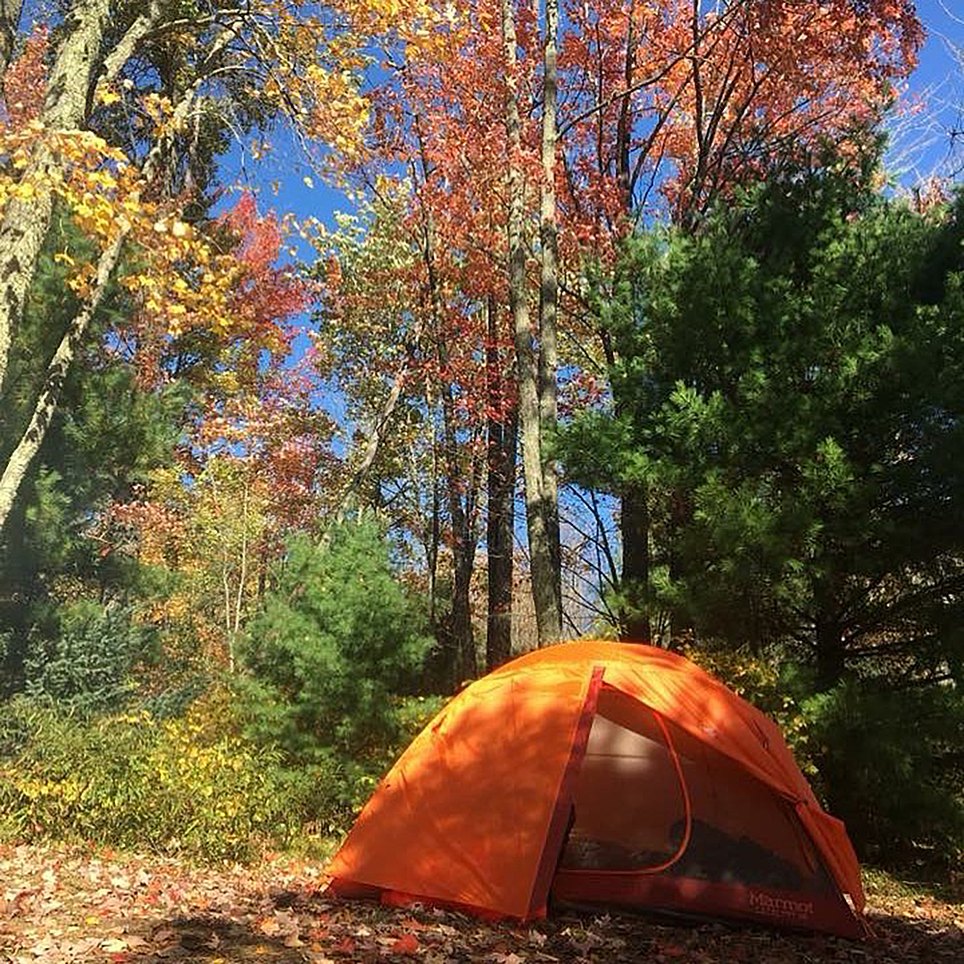 Canoe & Kayak Camping Wisconsin Peshtigo River State Forest Miles