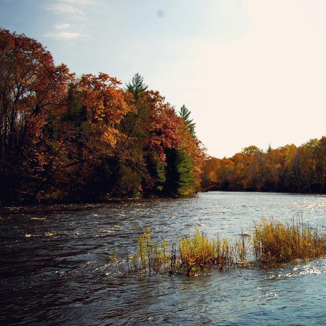 Canoe & Kayak Camping Wisconsin Peshtigo River State Forest Miles