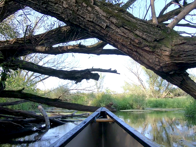Six Mile Creek Video Waunakee, Wisconsin Miles Paddled